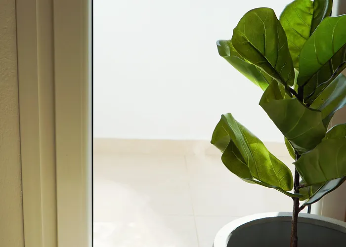 Anya Santorini Bed & Breakfast 4*